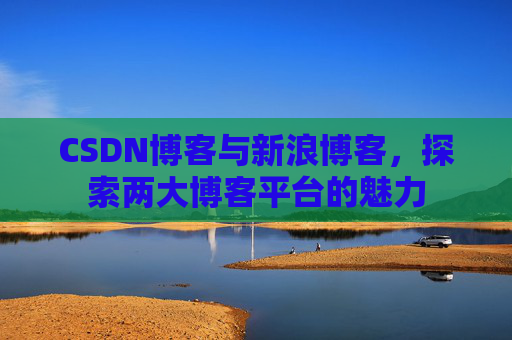 CSDN博客与新浪博客，探索两大博客平台的魅力